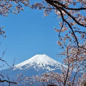 東京出發富士山景觀 & 御殿場 Premium Outlets 一日遊
▶點擊預約
(照片來源: Klook)