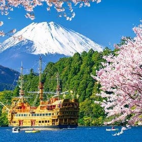富士山五合目 & 箱根一日遊（東京出發，含午餐）
▶點擊預約
(照片來源: Klook)