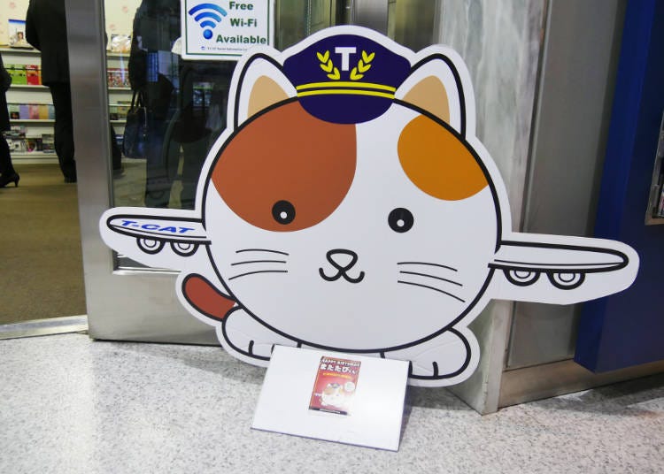 Matatabi-kun, T-CAT’s own mascot