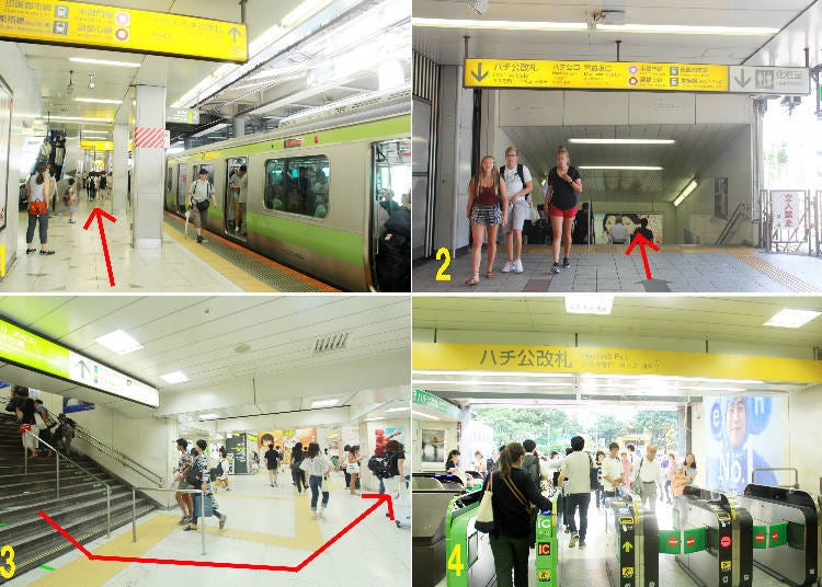 1. JR Shibuya Station’s platform 2 2. Descend the stairs at the northern end of the platform 3. Turn left and proceed 4. The Hachiko ticket gates