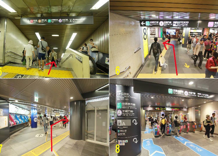 1. The stairs at the northern end of platform 2 2. The Hachiko ticket gates 3. Descend the stairs next to the ticket gates to the underground passage 4. Turn right after going down the stairs and continue 5. Go down the stairs 6. Turn left and head into Shibuya Chikamichi 7. Turn right in front of the ticket vending machines 8. The Hachiko ticket gates of Tokyu and Tokyo Metro