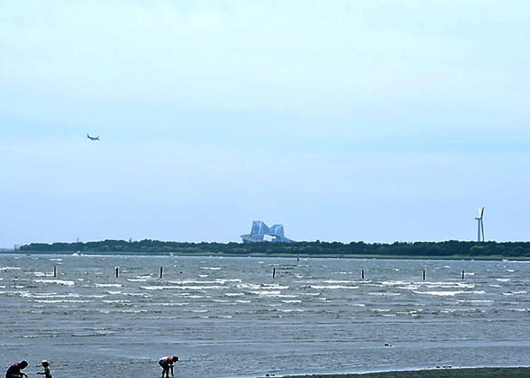 天然潮干狩りの名所！「葛西臨海公園」