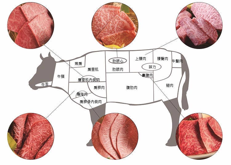 日本和牛解密③日本人喜愛的和牛食用部位