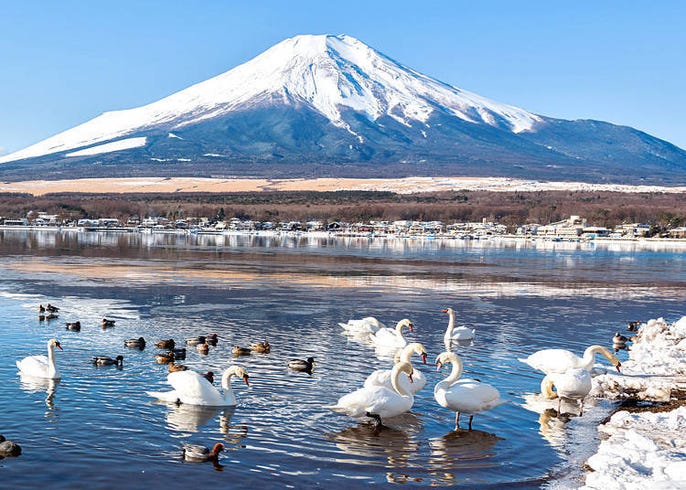 51通りの ありがとう の言い方 Live Japan 日本の旅行 観光 体験ガイド