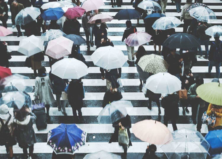 【7月】梅雨季节持续到下旬，雨水很多，是闷热的时期