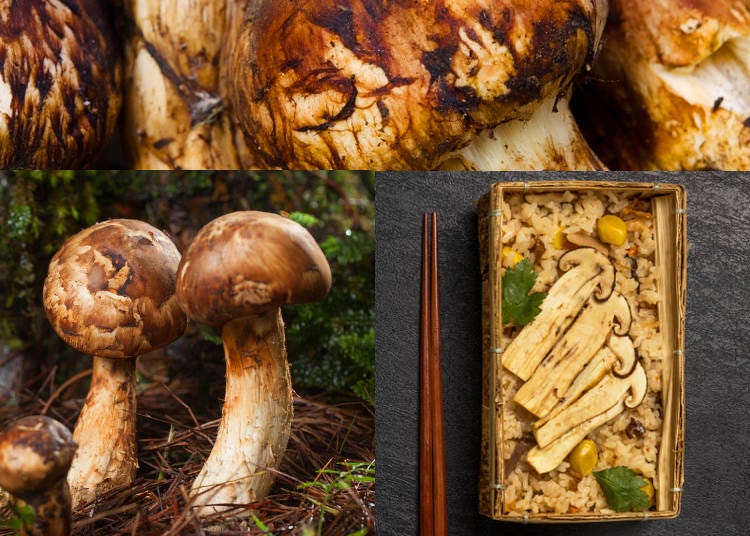 5. Matsutake