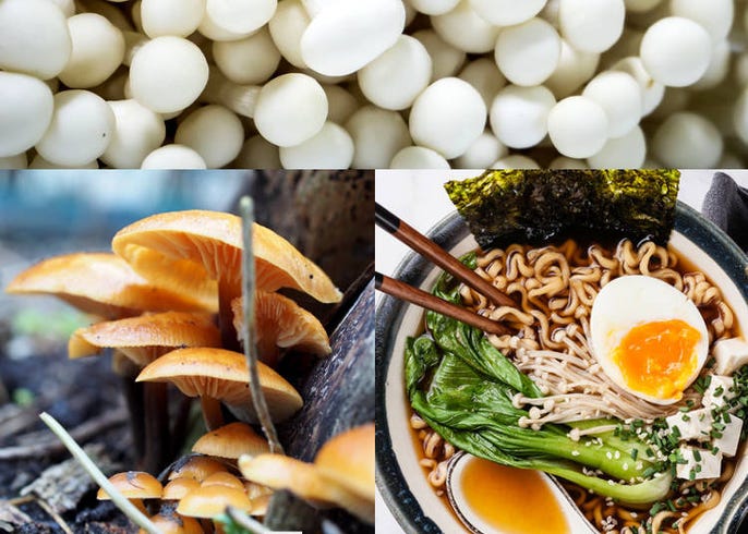 おいしくてヘルシー 日本で最もよく食べられているキノコ7種 Live Japan 日本の旅行 観光 体験ガイド