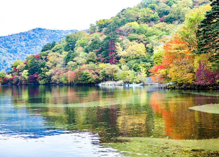Tochigi: Nikko Toshogu, Lake Chuzenji, Kegon Falls