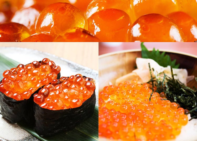 8) Ikura – Salmon Roe