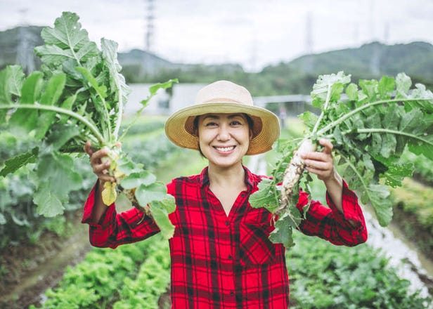 10 Popular Japanese Vegetables And The Unique Ways They're Used!