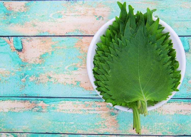 Shiso can also be found in cocktails!
