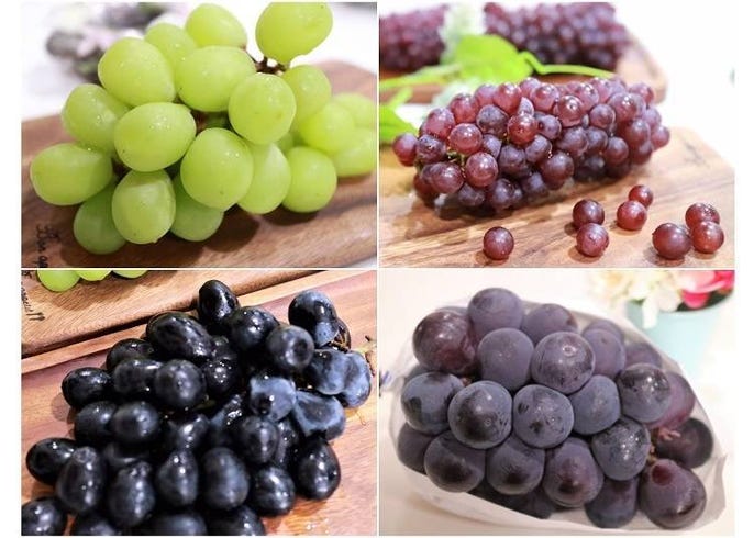 认识日本四季水果系列 夏秋之际风情万种的葡萄物语 Live Japan 日本的旅行 旅游 体验向导