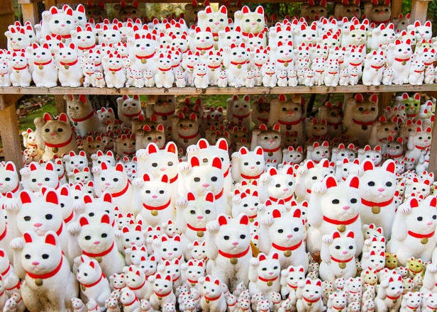 Gotokuji Temple: Tokyo's Maneki Neko 'Lucky Cat' Temple - A Must-Visit for Cat Lovers!