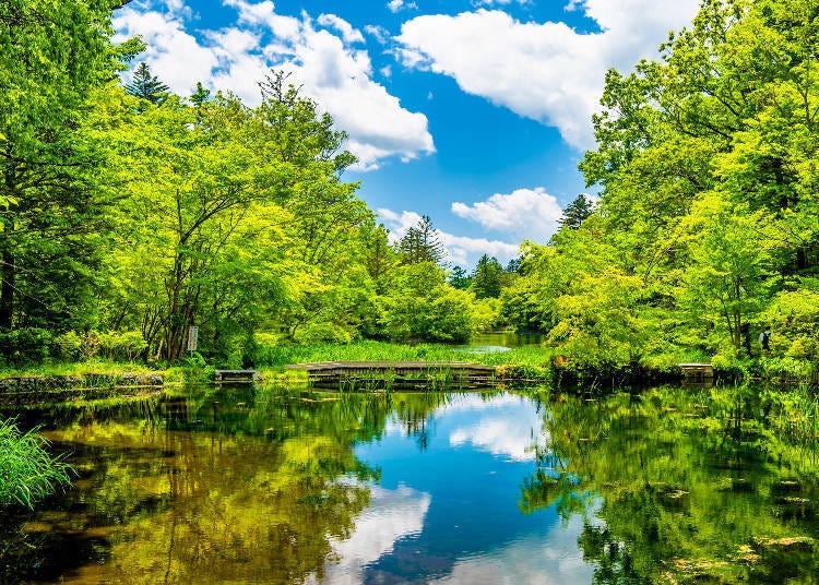 Karuizawa, Nagano (Photo: PIXTA)