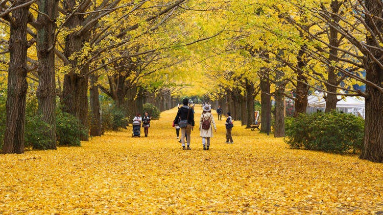 日本东京9月‧10月‧11月秋季天气、服装及必备小物