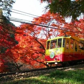京王線一日乘車券(含高尾山纜車&吊椅套票)