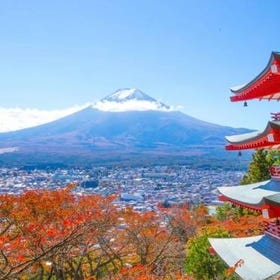 【富士山人氣打卡景點】富士山下網紅公園&日川時計店&羅森便利店&忍野八海&大石公園一日遊 (東京站或新宿站出發)
