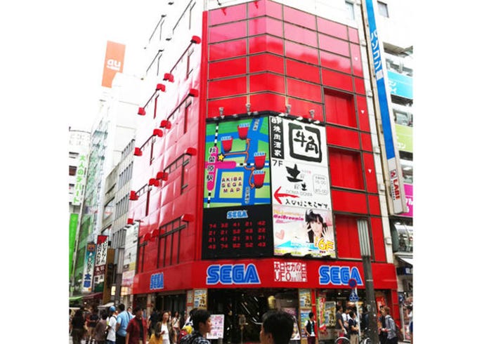 live japan