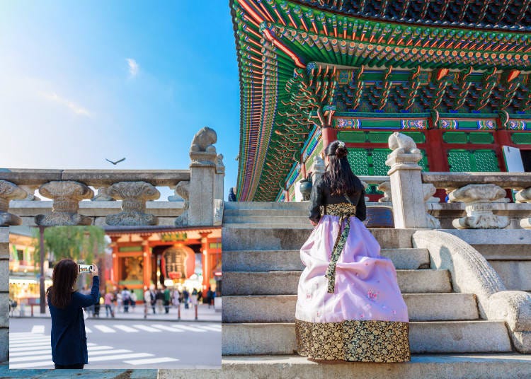 5.일본인이 한국에서 보고 즐기는것은?