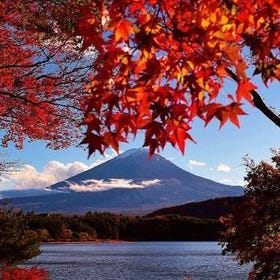 富士山＆御殿場 Premium Outlets 一日遊
▶點擊預約
圖片提供：Klook
