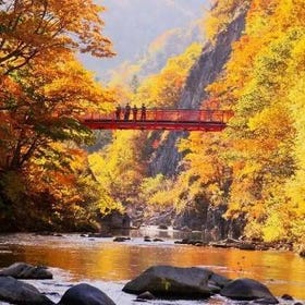 北海道道央紅葉景點8選：札幌、小樽、二世古、洞爺湖等