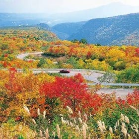 宮城賞楓景點10選＆最佳賞楓時期、交通資訊：鳴子峽、秋保大瀑布等
