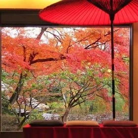 3間東京近郊「能在房間內賞紅葉」的飯店、旅館