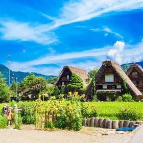 2025白川鄉合掌村必訪景點6選＆交通方式自由行懶人包