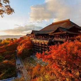 京都賞楓景點10選+最佳賞楓時期：嵐山、清水寺等