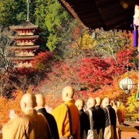 奈良10大人氣紅葉景點＆最佳賞紅葉時期