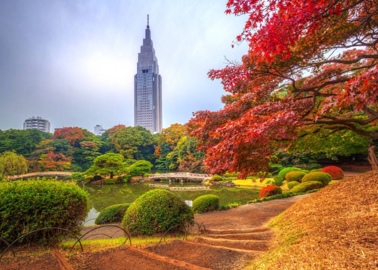 在日式氛围中绽放的枫红 寺庙‧日式庭园中的红叶景点