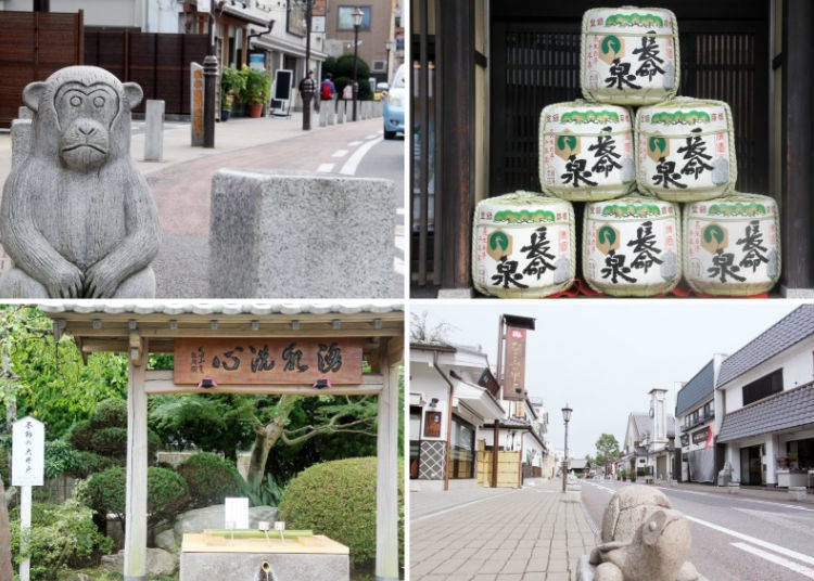 From top left: 1) The twelve signs of the Chinese zodiac line the approach to the temple as stone statues. 2) The only sake brewery along the temple approach, “Chomeisen.” 3) The “Ofudosama no ido” well behind the traditional sweets shop “Nagomi no Yoneya.” 4) Statues of turtles are scattered around the area as symbols of longevity.