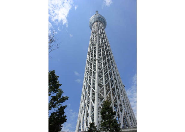 [리포트] 세계에서 가장 높은 634m 송신탑 도쿄 스카이트리에 가보자!