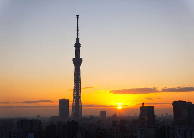 【2023-2024年】東京の年末年始でやっておきたいこと10選！電車運行情報や施設営業情報も