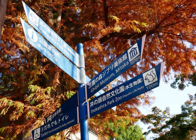 Kichijoji Explore Tokyo S Top Rated Stylish Suburb In Half A Day Live Japan Travel Guide