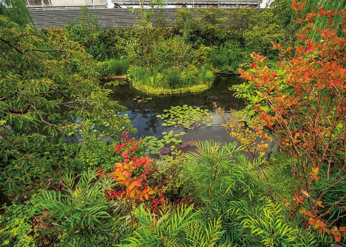 Lush Nature And Gourmet Delights Explore Tokyo S Fun Famous Rooftops Live Japan Travel Guide