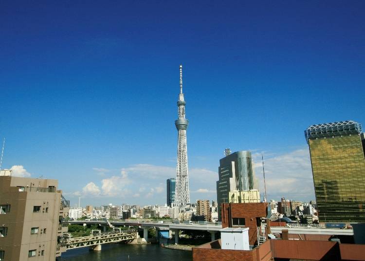 Asakusa Ekimise: Gaze Over Traditional Tokyo and Skytree at Hare Terrace