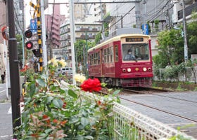 Tokyo Sakura Tram: Experience Tokyo's Secret Neighborhoods, Off the Beaten Path!