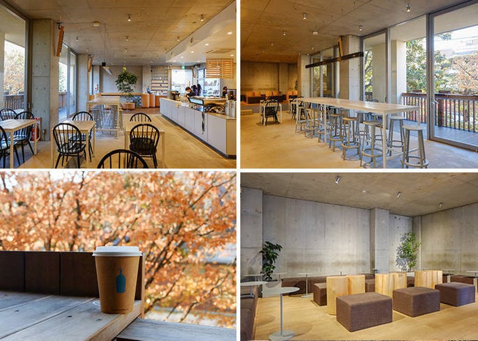 Autumn Vibes In Aoyama How Tokyoites Chill Live Japan Travel Guide
