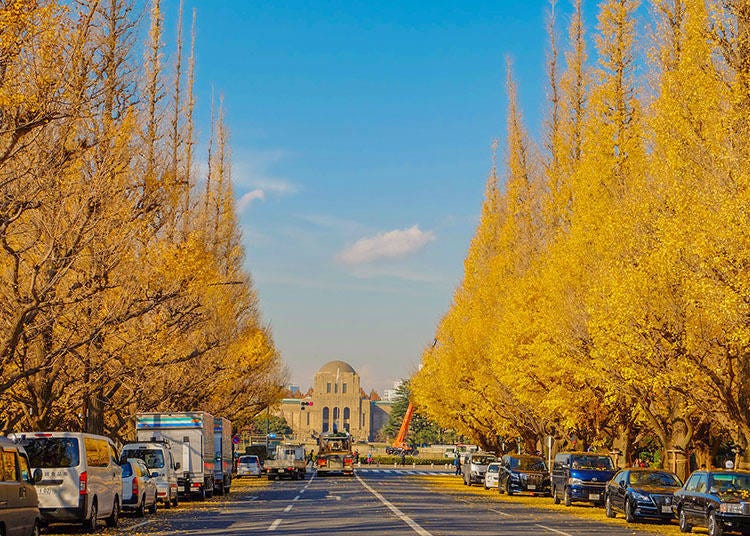 东京秋季限定的绝美风景 明治神宫外苑银杏并木道