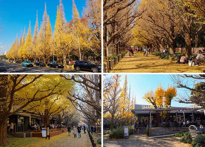 漫步时尚潮流圣地 青山 必访5大景点与美食店家推荐 Live Japan 日本的旅行 旅游 体验向导
