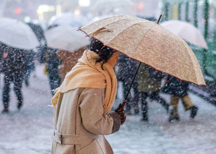 Weather in Tokyo by Month and What to Wear