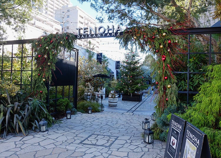 代官山必訪! 被美麗的綠意植栽圍繞的複合式庭園「TENOHA DAIKANYAMA」※已停業