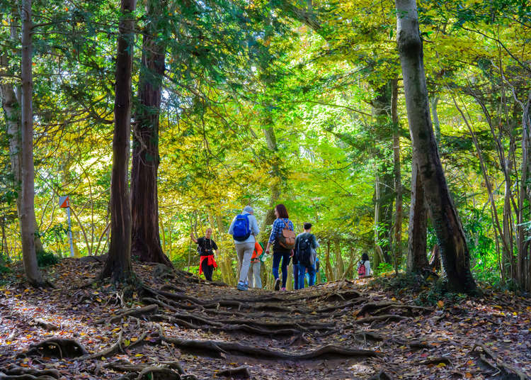 Korea Keel Ga naar beneden Day Hiking Near Tokyo: 6 Easy Hikes You Can Do While Visiting Japan | LIVE  JAPAN travel guide