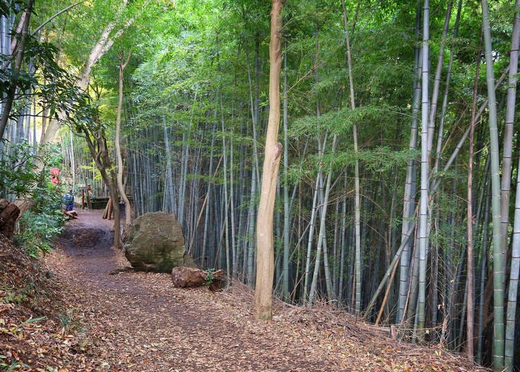 4. Ten-en Hiking Course