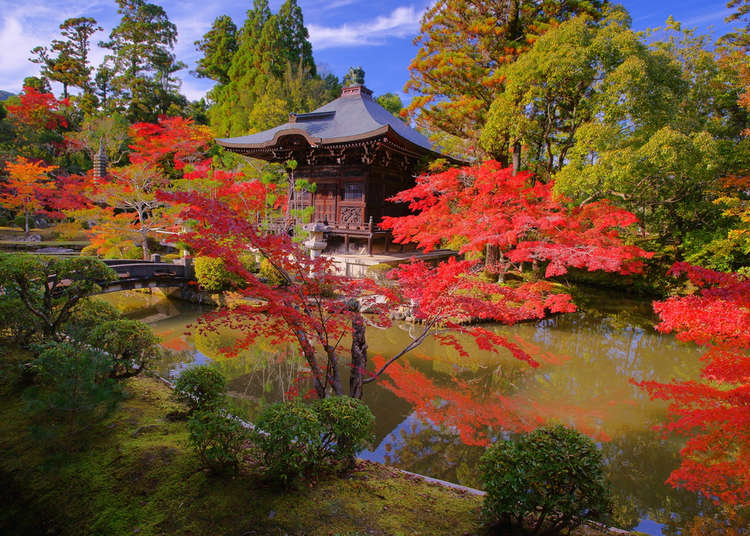 Japanese Gardens - From the exotic to the meditative