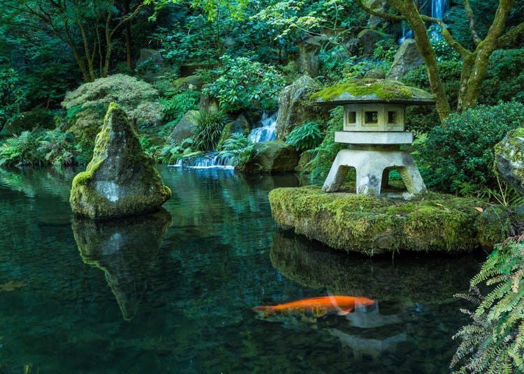A Japanese Garden That Incorporates a Stone Lantern, a Waterfall, a Pond with Koi and Rocks.