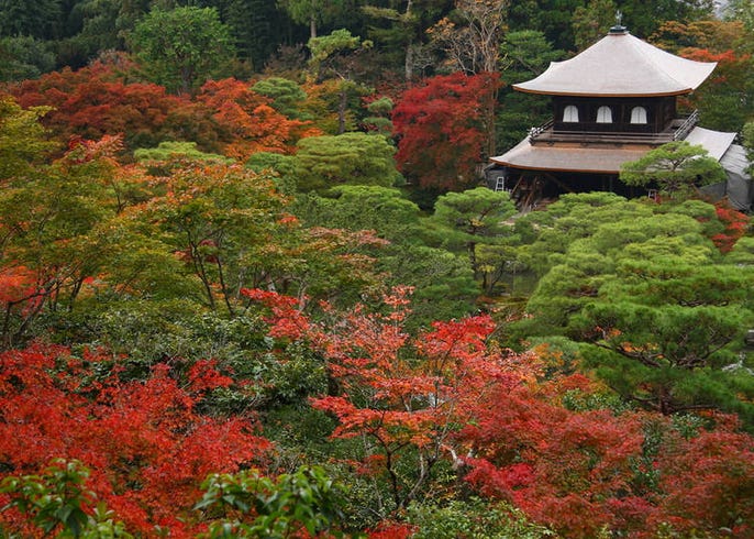Japanese Gardens From The Exotic To, Why Are Japanese Gardens Important