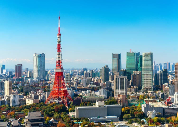 Panoramic Views Above the City: Tokyo from Above