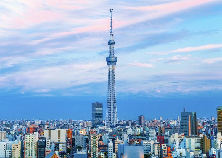 Take in the View: Tokyo from Above